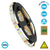 GloboStar® 70030 Ταινία LED SMD 5730 5m 20W/m 60LED/m 2600lm/m 120° DC 12V IP20 Ψυχρό Λευκό 6000K – 5 Χρόνια Εγγύηση