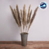 GloboStar® PAMPASGRASS 36514 Αποξηραμένο Φυτό Γρασίδι της Πάμπας – Μπουκέτο Διακοσμητικών Κλαδιών Καφέ – Γκρι Υ150cm