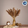 GloboStar® BROOMCORN 36553 Αποξηραμένο Φυτό Γλυκό Σόργο – Μπουκέτο Διακοσμητικών Κλαδιών Καφέ Υ60cm
