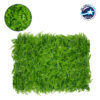 GloboStar® 78419 Artificial – Συνθετικό Τεχνητό Διακοσμητικό Πάνελ Φυλλωσιάς – Κάθετος Κήπος Καυκάσιο Πυξάρι – Φτέρη – Λυσιμαχία Πράσινο Μ60 x Υ40 x Π9cm
