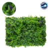 GloboStar® 78434 Artificial – Συνθετικό Τεχνητό Διακοσμητικό Πάνελ Φυλλωσιάς – Κάθετος Κήπος Πεπερόμια – Ζεβρίνα – Πράσινο Μ60 x Υ40 x Π9cm