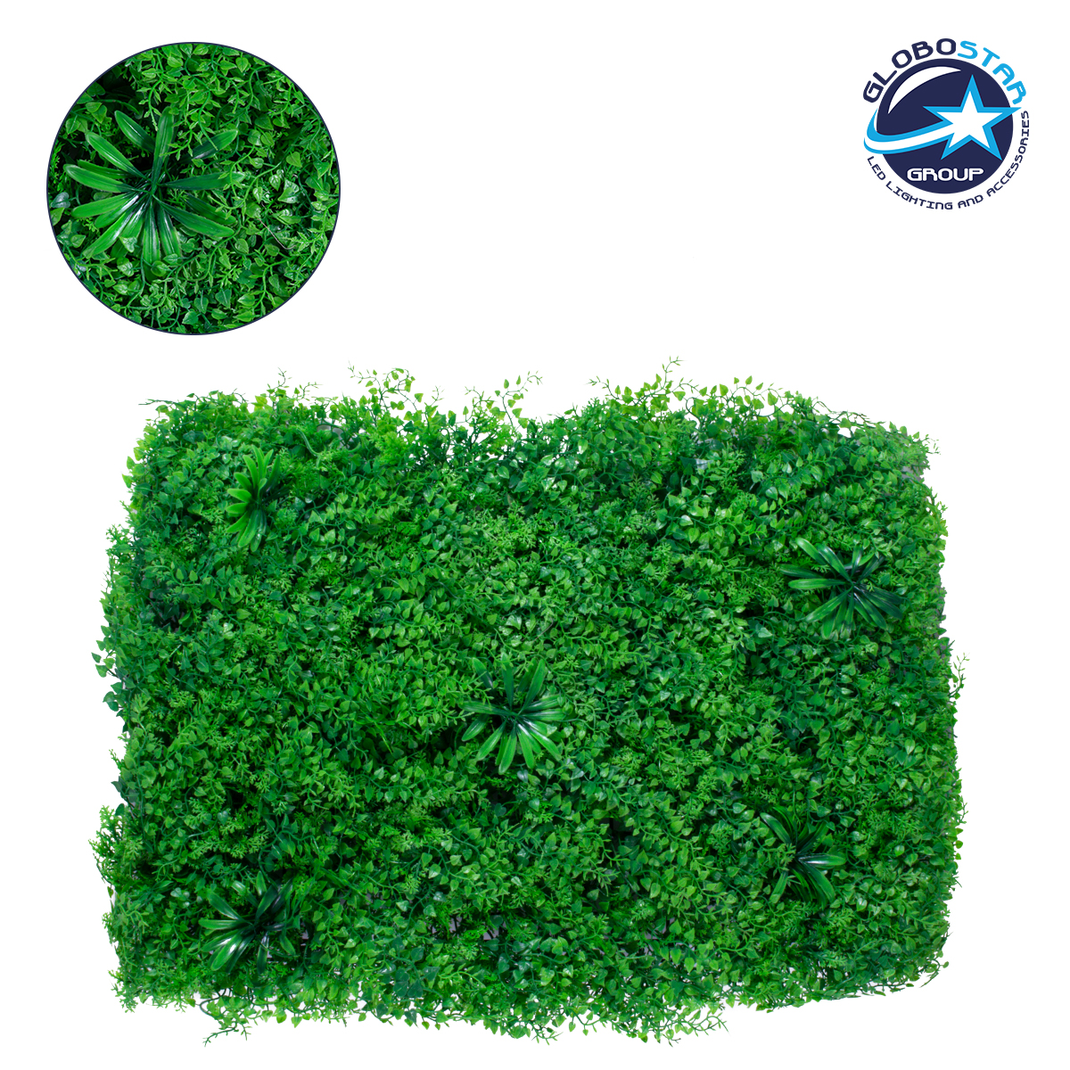 GloboStar® 78435 Artificial – Συνθετικό Τεχνητό Διακοσμητικό Πάνελ Φυλλωσιάς – Κάθετος Κήπος Φύλλα Αγγελικής – Πράσινο Μ70 x Υ50 x Π8cm