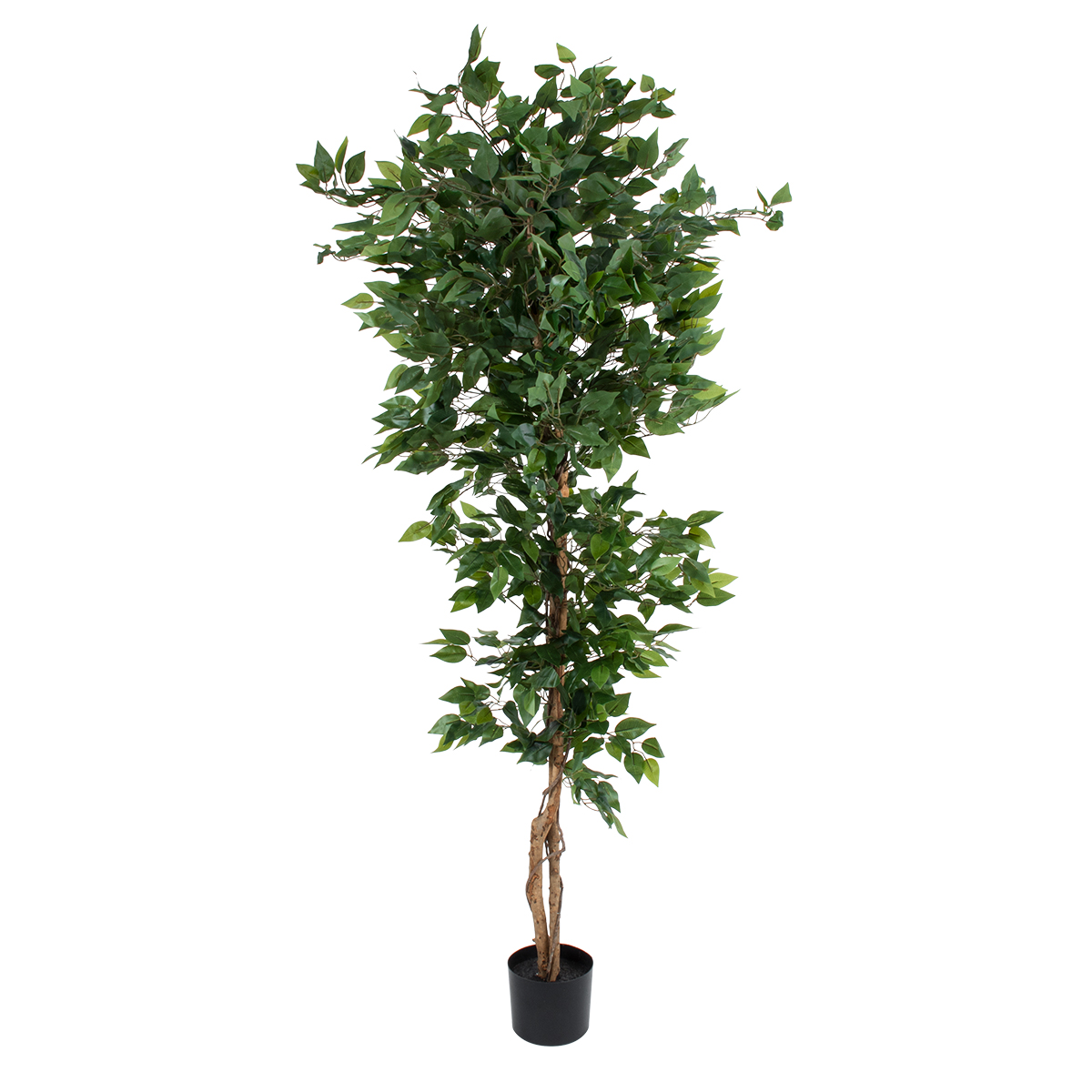 GloboStar® Artificial Garden FICUS BENJAMINA TREE 20416 Τεχνητό Διακοσμητικό Φυτό Φίκος Μπενζαμίνη Υ180cm