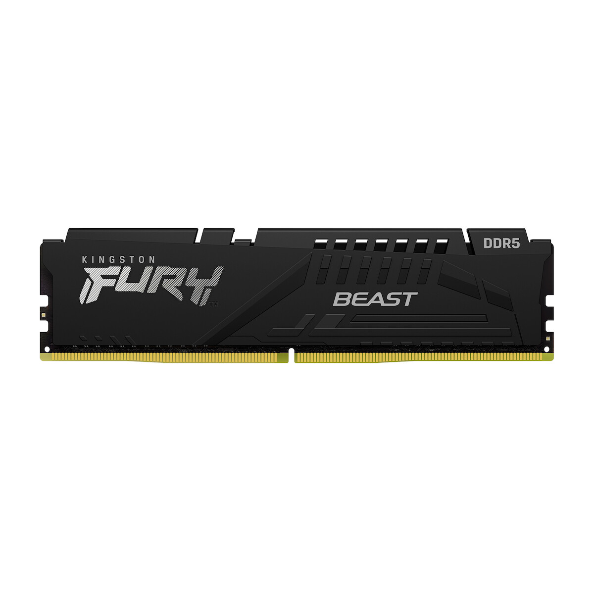 Kingston Fury Beast 32GB DDR5 RAM με Ταχύτητα 4800 για Desktop (KF548C38BB-32)