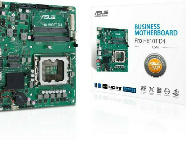 Asus Pro H610M-C-CSM