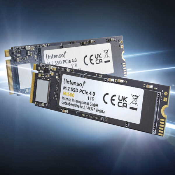 Intenso MI500 500GB M.2 3836450