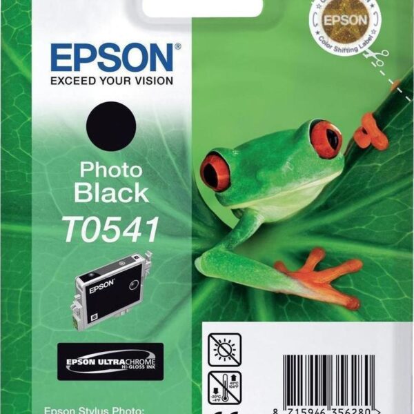 Epson T0541 Γνήσιο Μελάνι Εκτυπωτή InkJet Photo Μαύρο (C13T05414010)