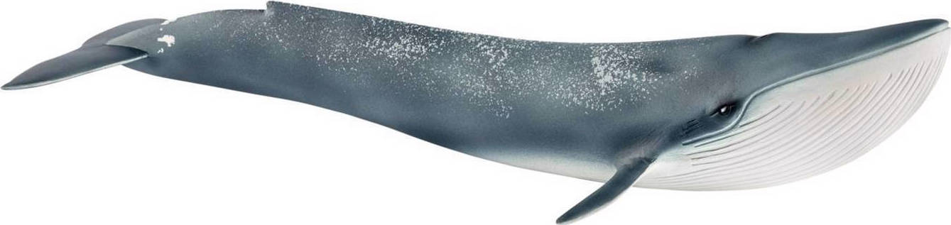 Schleich-S Παιχνίδι Μινιατούρα Wild Life Blue Whale για 3+ Ετών