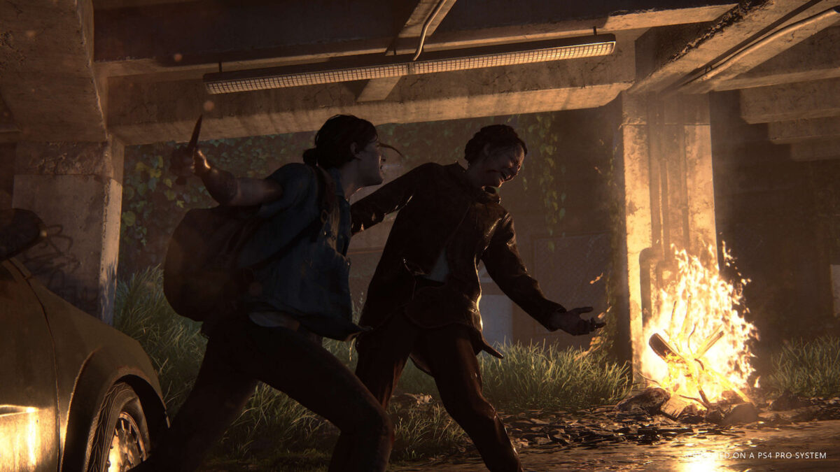The Last of Us Part II - Image 11