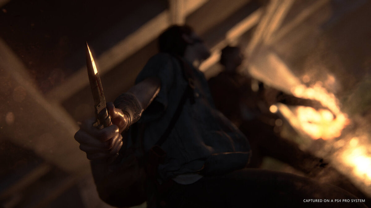 The Last of Us Part II - Image 18