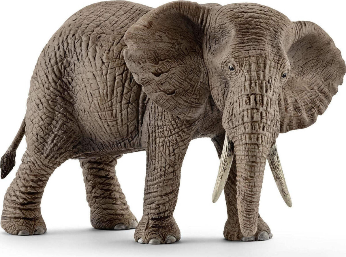 Schleich-S Παιχνίδι Μινιατούρα Wild Life African Elephant Female για 3+ Ετών - Image 1