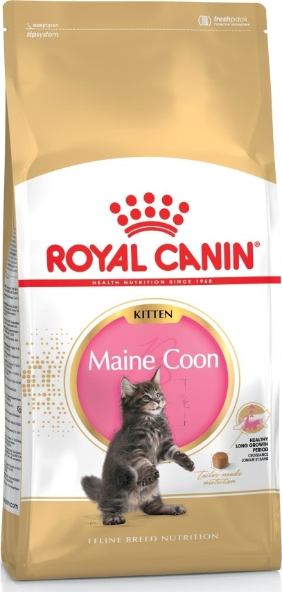 Royal Canin Maine Coon Kitten