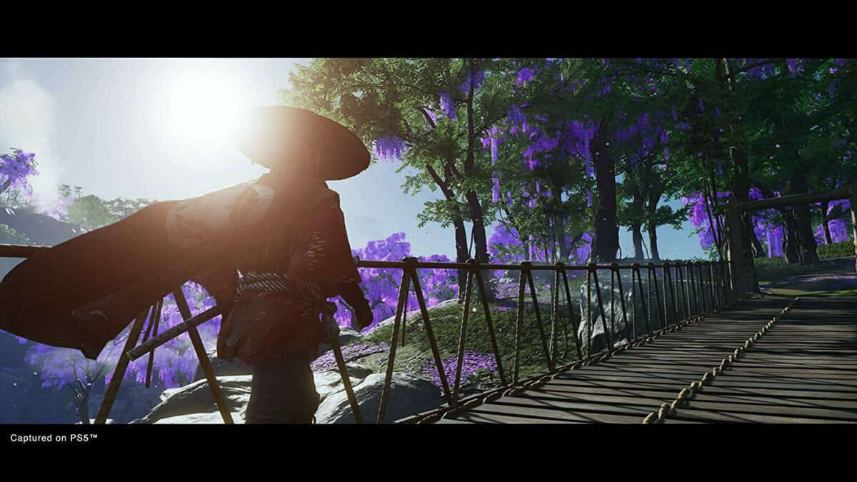 Ghost of Tsushima Director’s Cut Edition - Image 9