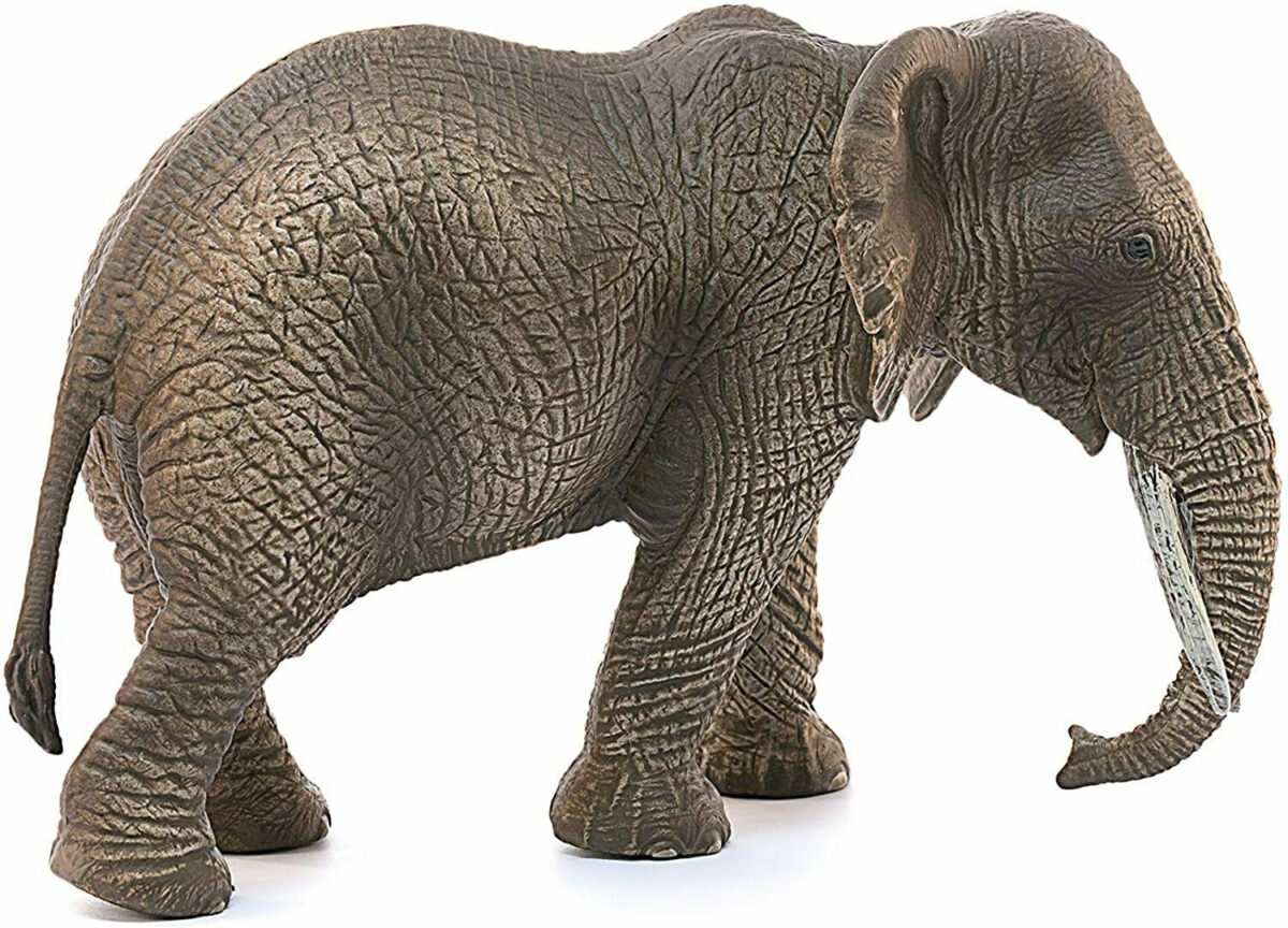 Schleich-S Παιχνίδι Μινιατούρα Wild Life African Elephant Female για 3+ Ετών - Image 4