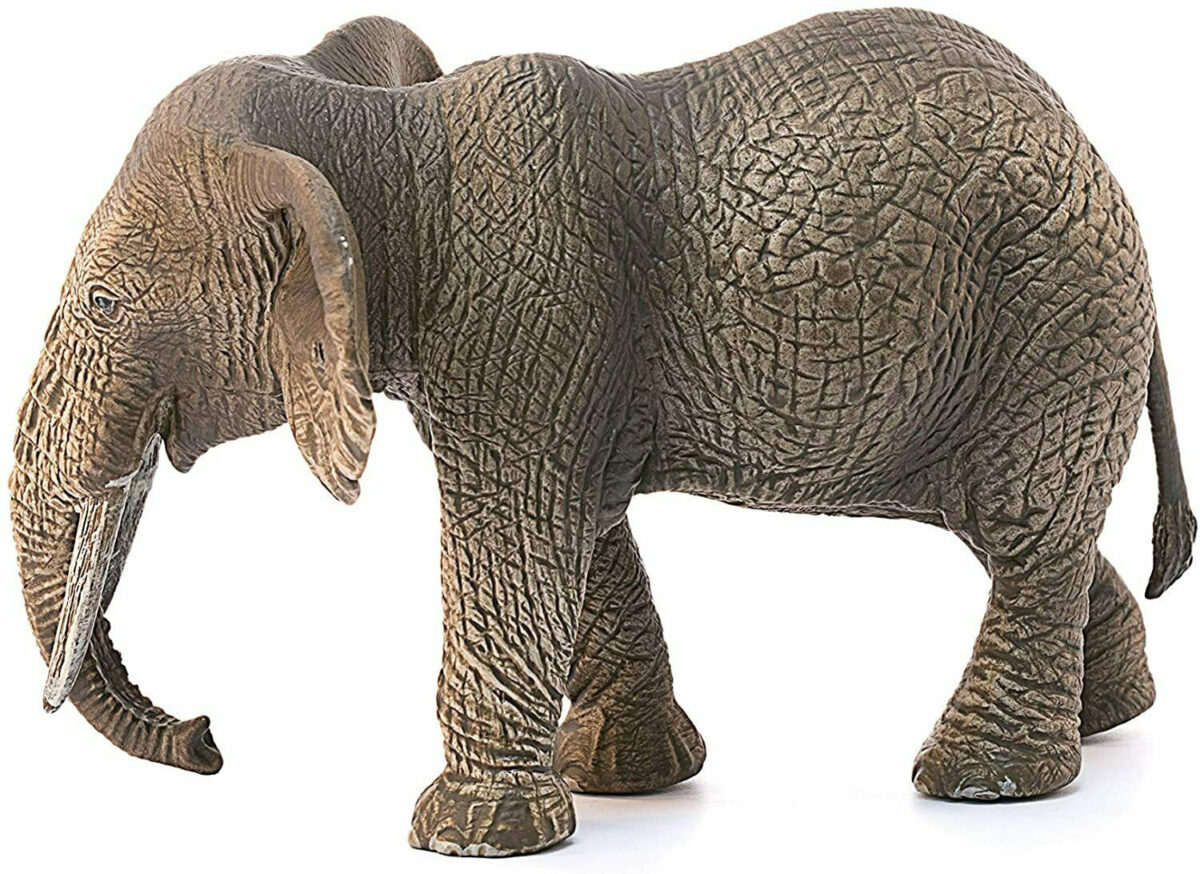 Schleich-S Παιχνίδι Μινιατούρα Wild Life African Elephant Female για 3+ Ετών - Image 3