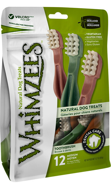 Whimzees Dog Chew Toothbrush Οδοντική Λιχουδιά Σκύλου για Μεσαίες Φυλές 370gr 12τμχ