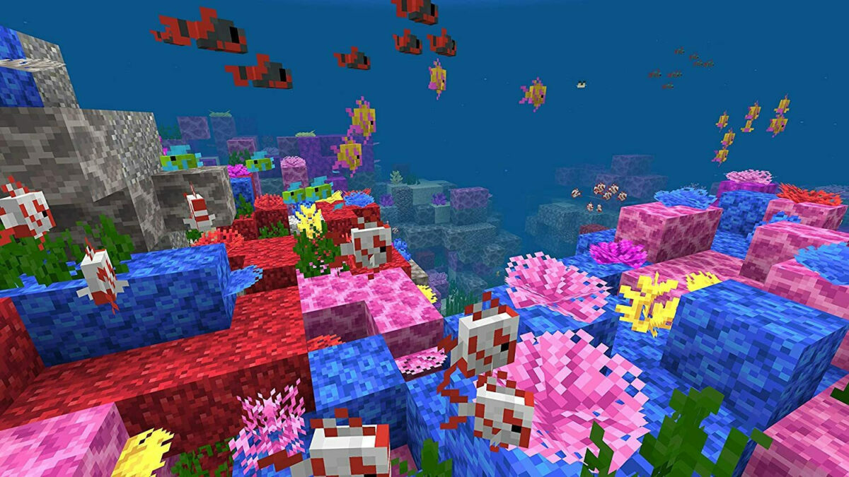 Minecraft Starter Collection Edition - Image 4