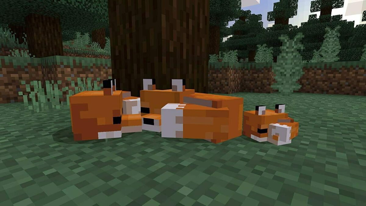 Minecraft Starter Collection Edition - Image 7