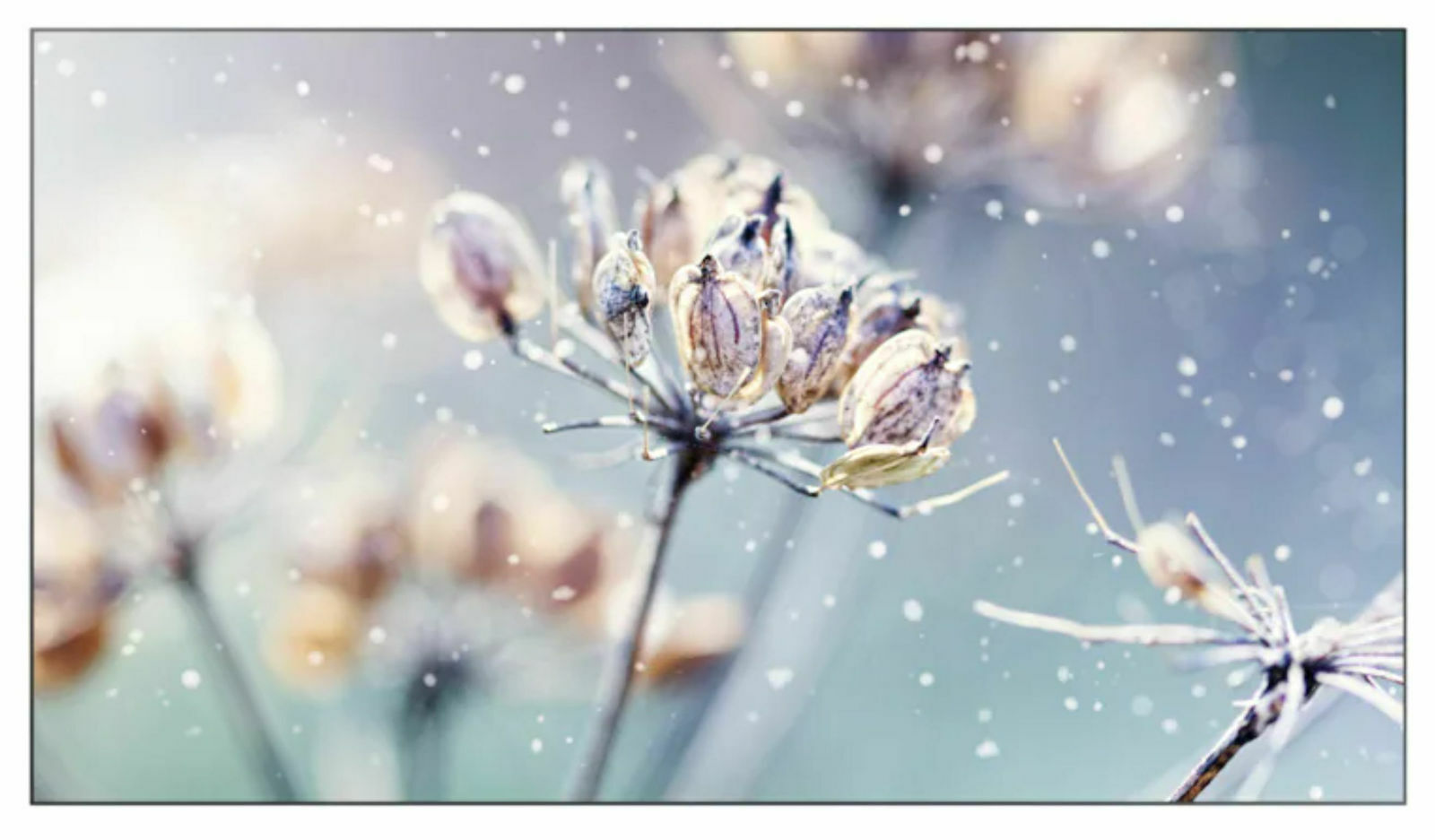 Samsung Video Wall VMB-U Series Public Display LED Full HD 55"