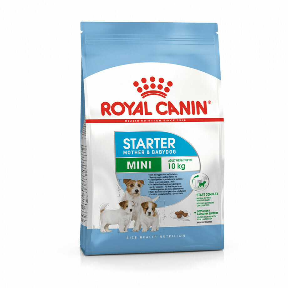 Royal Canin Starter Mother & Babydog Mini