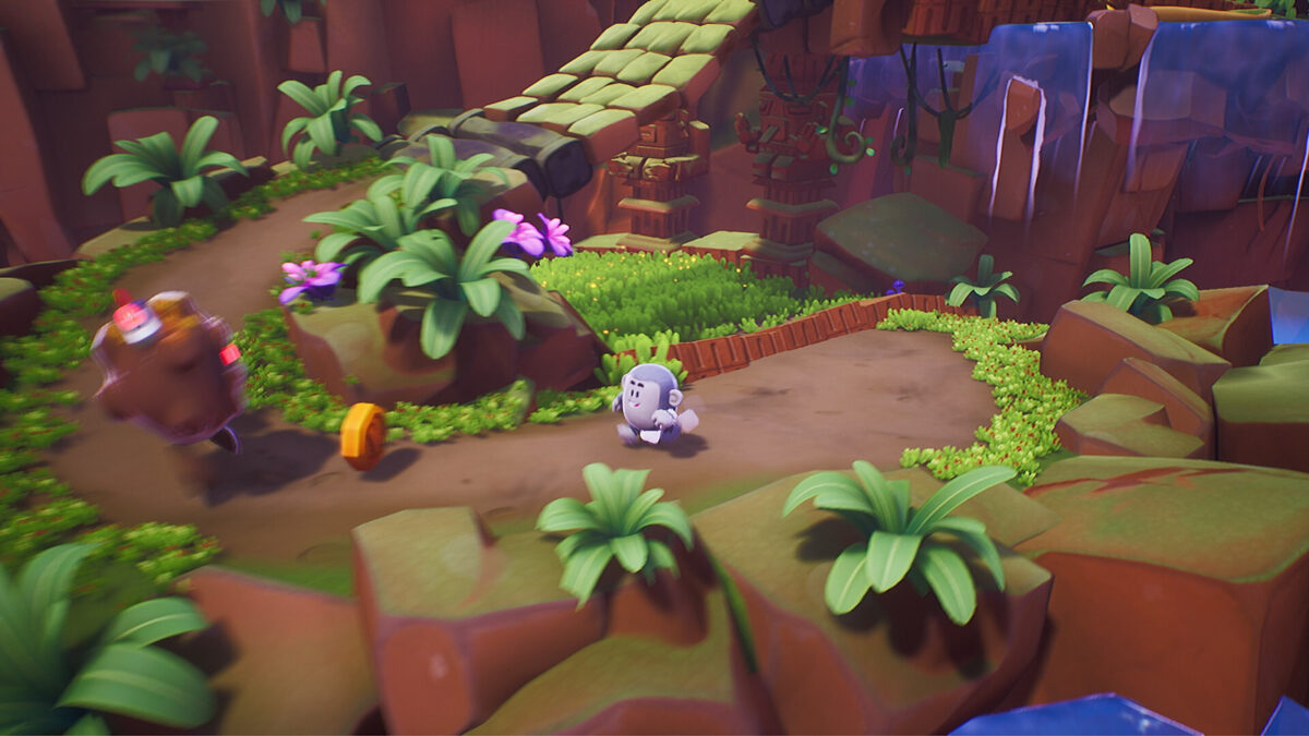 Kukoos - Lost Pets - Image 3