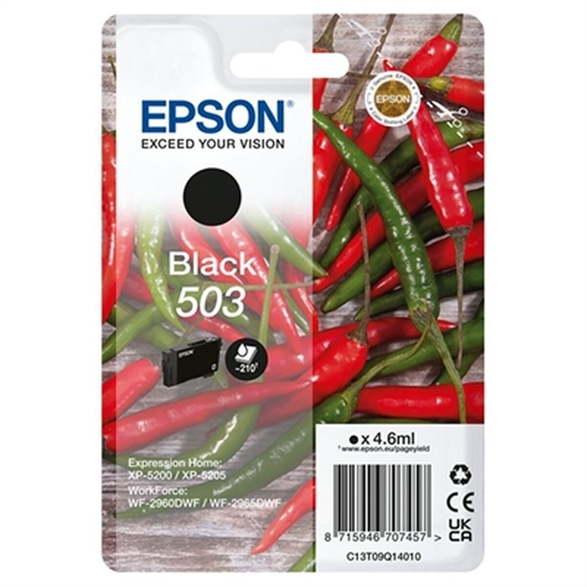 Epson 503 Γνήσιο Μελάνι Εκτυπωτή InkJet Μαύρο (C13T09Q14010)