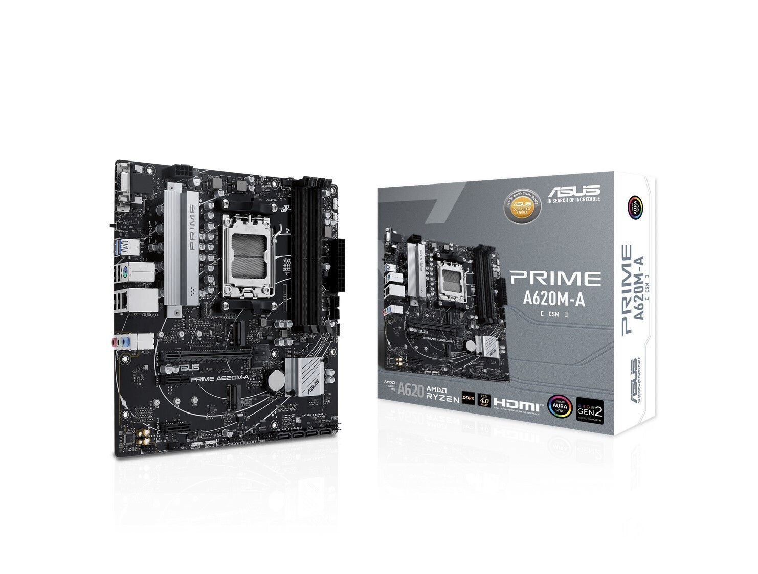 Asus Prime A620M-A-CSM