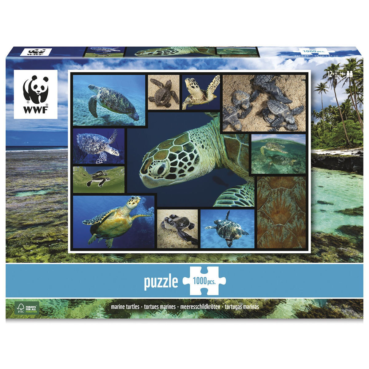 Puzzle Sea Turtles 2D 1000 Κομμάτια