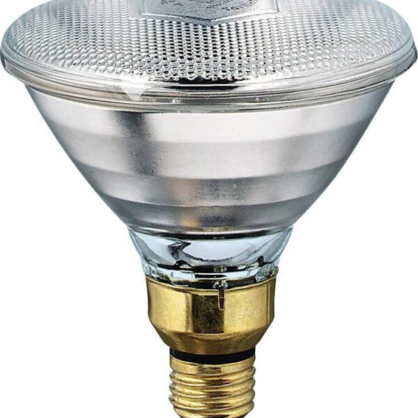 Philips Λάμπα Υπερύθρων 100W για Ντουί E27