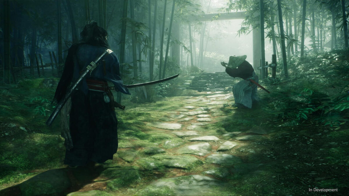 Rise of the Ronin - Image 8