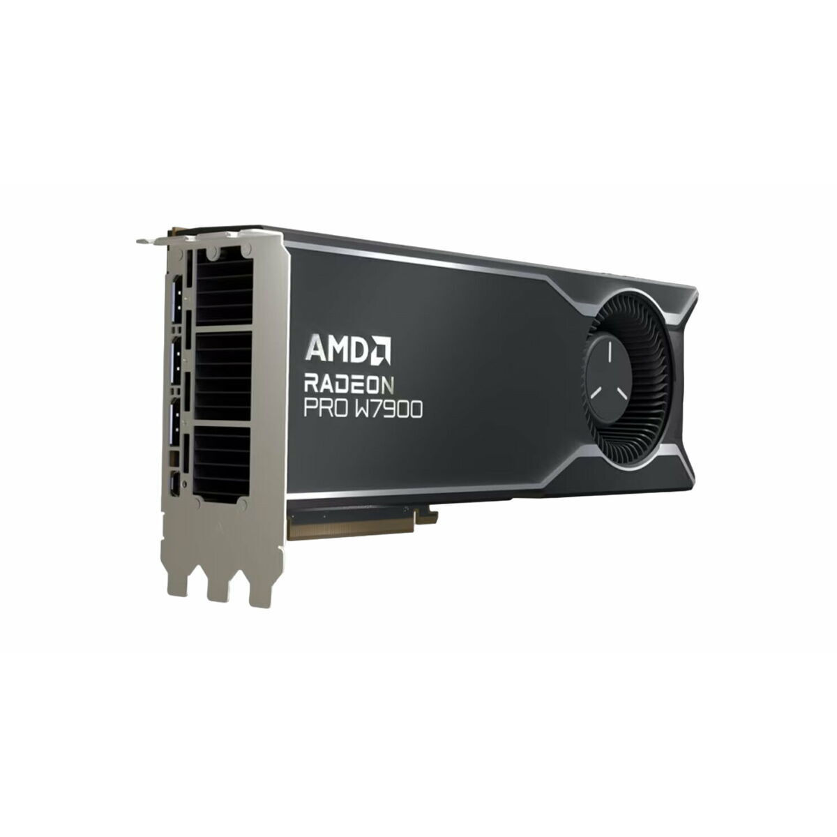AMD Radeon Pro W7900 48GB