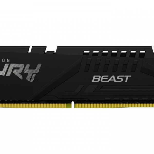 Kingston DDR5