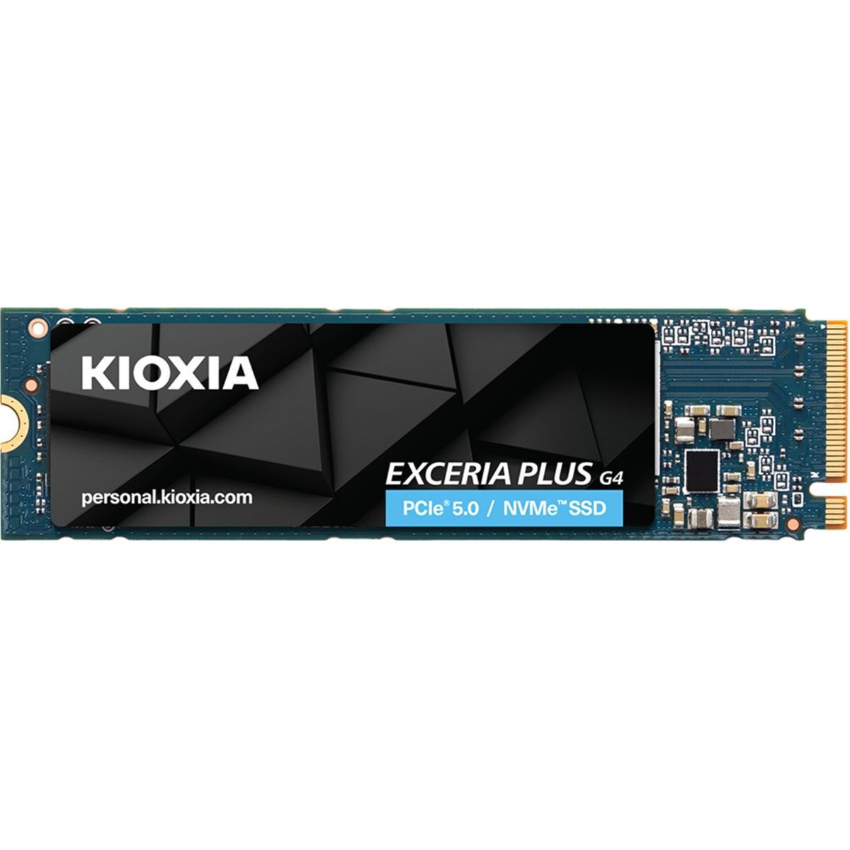Kioxia Exceria Plus G4 M.2 - Image 1