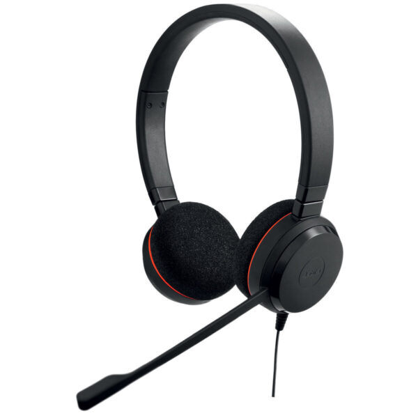 Jabra Evolve 20 On Ear Multimedia Ακουστικά με μικρόφωνο και σύνδεση USB-C / USB-A