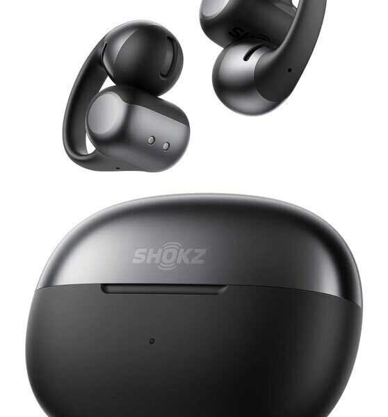 Shokz OpenDots ONE Open Ear
