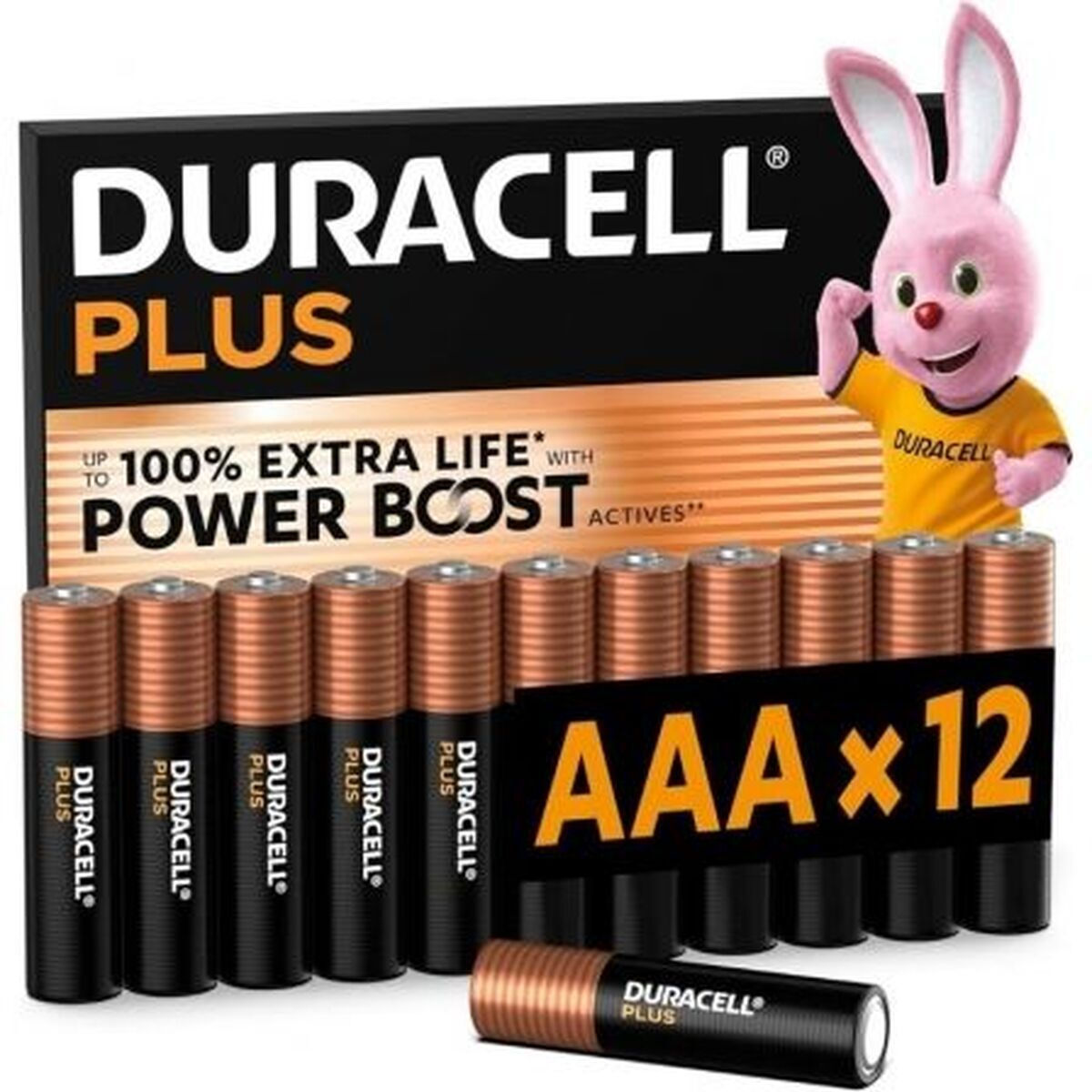 Duracell AAA 1.5V DPBLR3B12
