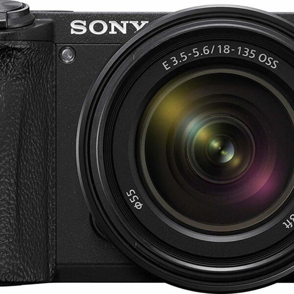 Sony α6600