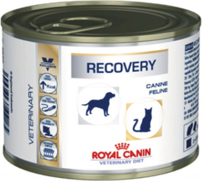 20200514140126_686a7af8 Royal Canin Recovery 195gr - Image 2