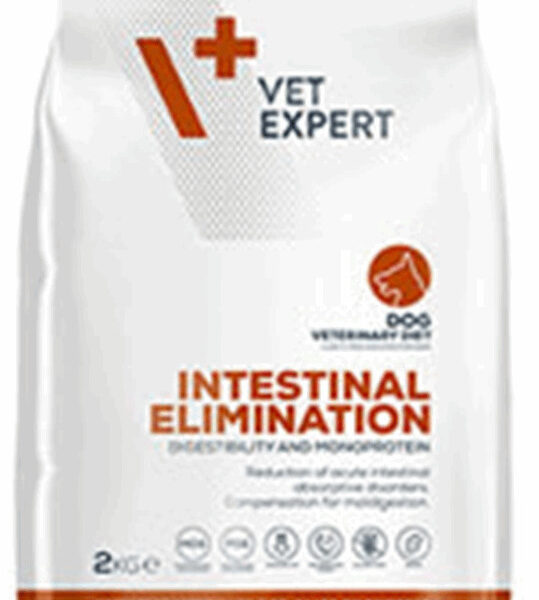 VetExpert Intestinal