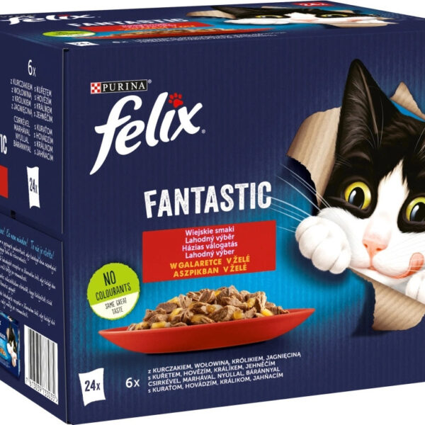 Felix Υγρή Τροφή 24x85gr