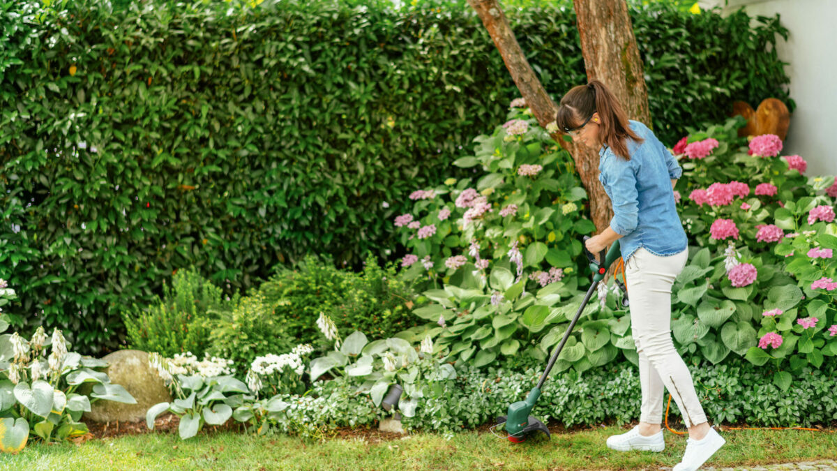 Bosch EasyGrassCut 18-26 Χορτοκοπτικό 18V με 1 Μπαταρία 2.5Ah - Image 3