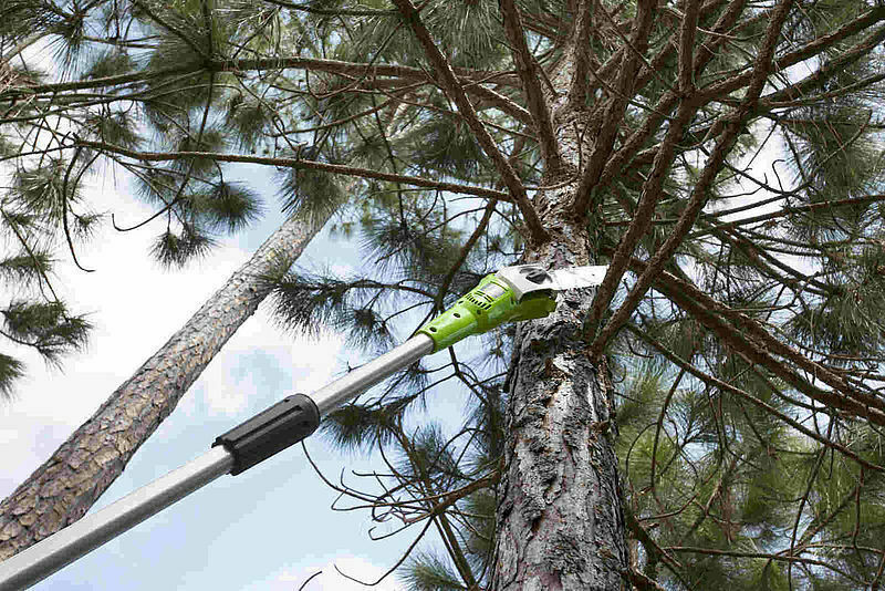 20220627163703_1ed7eef8 Greenworks G40PSF Τηλεσκοπικό Κονταροπρίονο Μπαταρίας με Λάμα 20cm Συνολικού Μήκους 250cm και Βάρους 3.75kg - Image 5