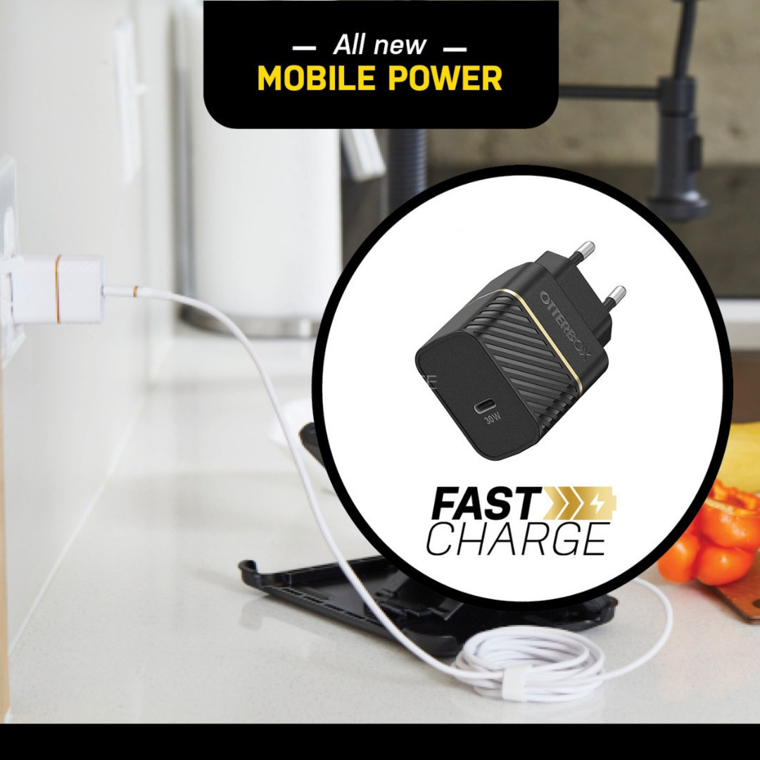 20221017153453_65f771bc Otterbox 78-80484 USB-C Χωρίς Καλώδιο 30W - Image 3