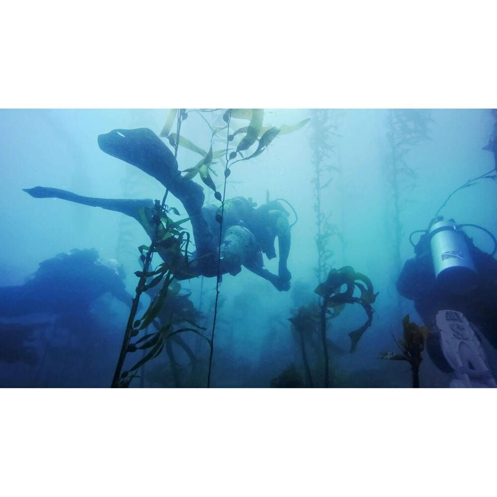 20230922122241_1c6383d5 GoPro Dive Housing για Action Cameras GoPro Hero 11 Mini - Image 3
