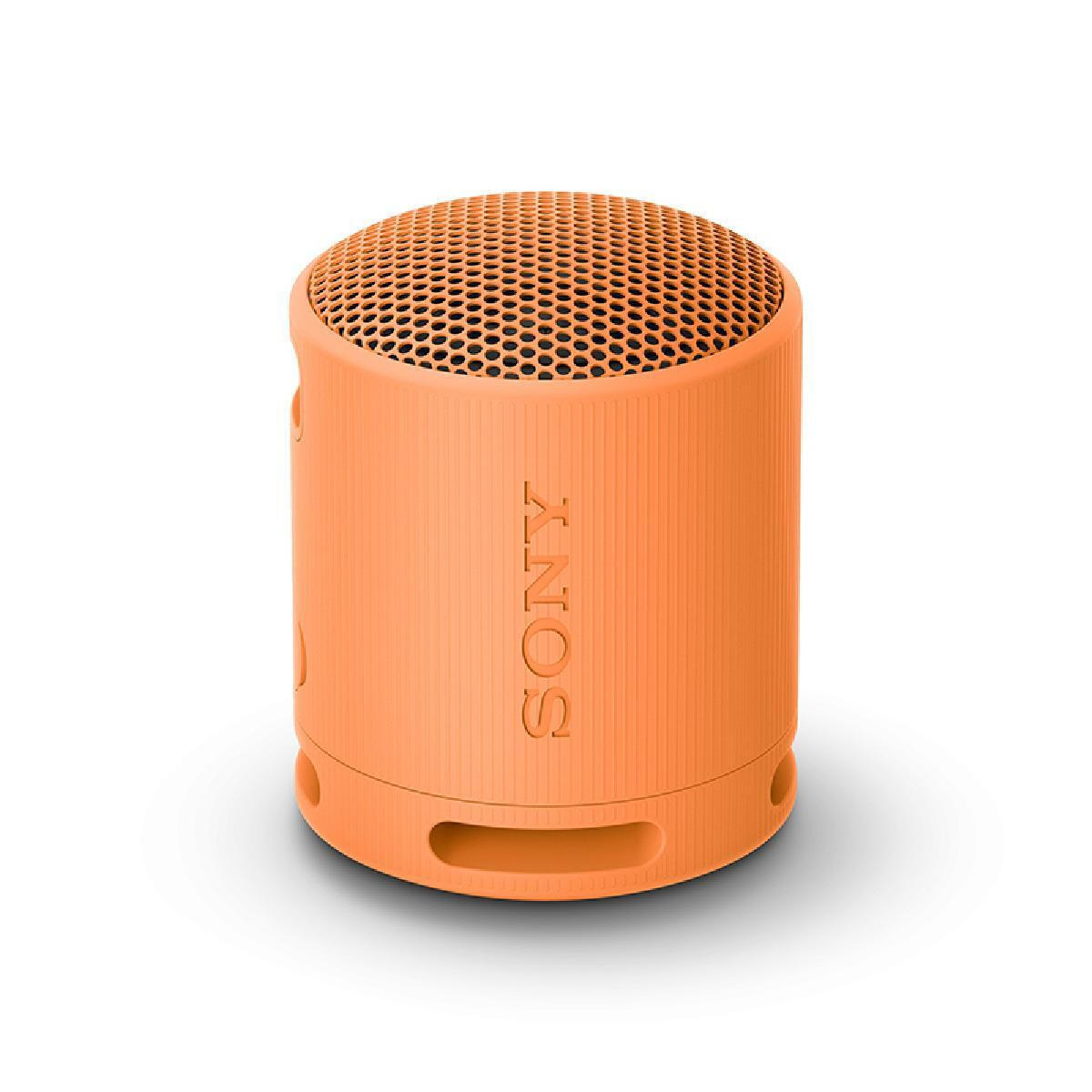 Sony SRS-XB100 Bluetooth έως 16 ώρες