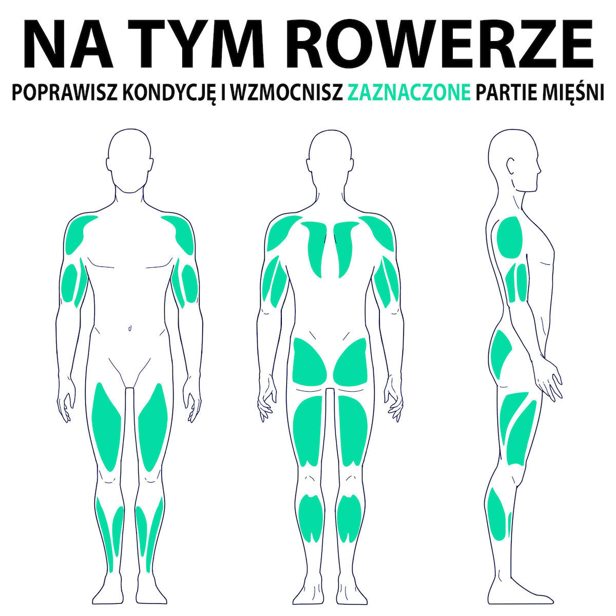 20240531142911_70970734 Horizon Fitness 7.0 IC Ποδήλατο Spinning Μαγνητικό με Ροδάκια - Image 7