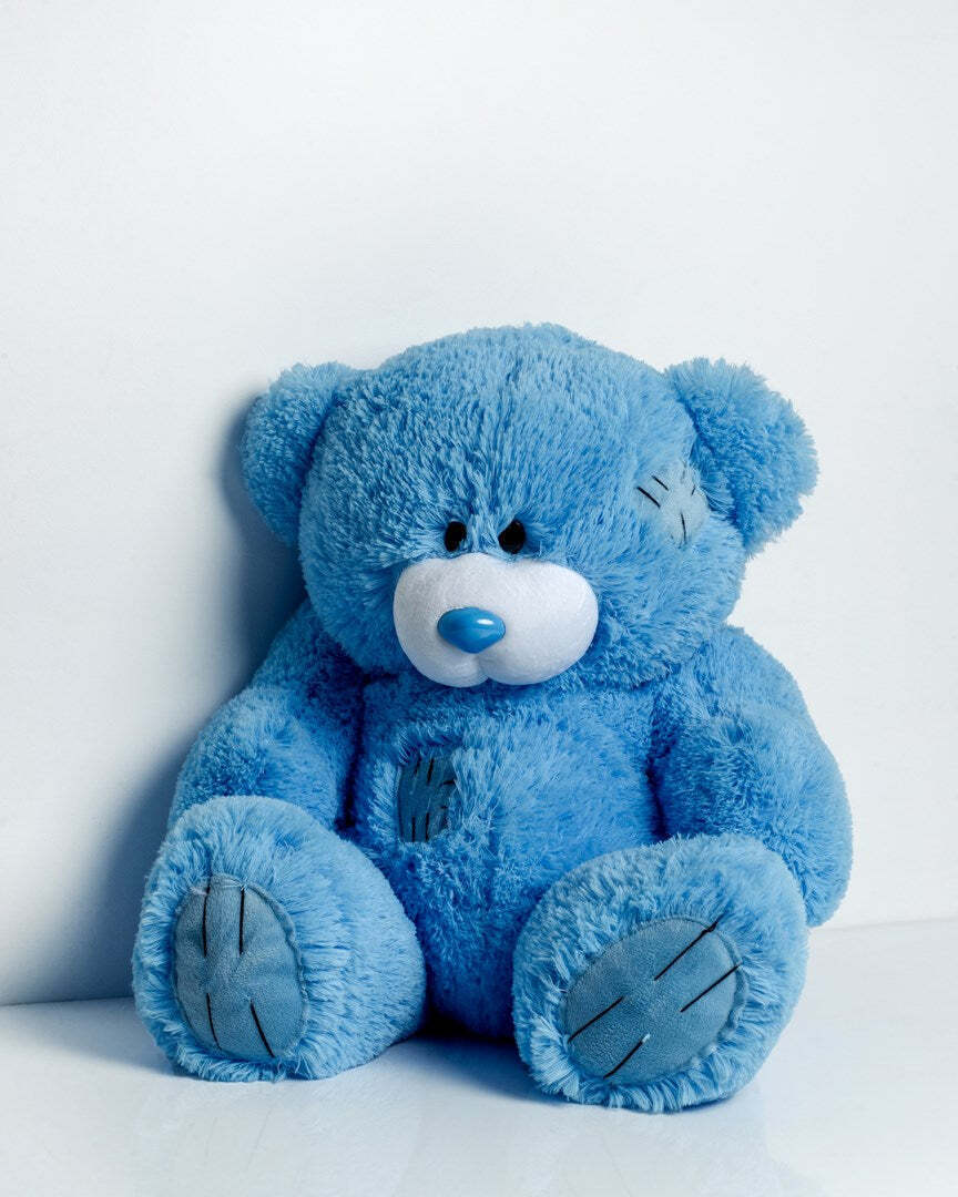 20240812172546_go_gift_loutrino_arkoudaki_blue_60_ek_pluggfmas0003 Go Gift Αρκουδάκια Blue 60 εκ. - Image 1
