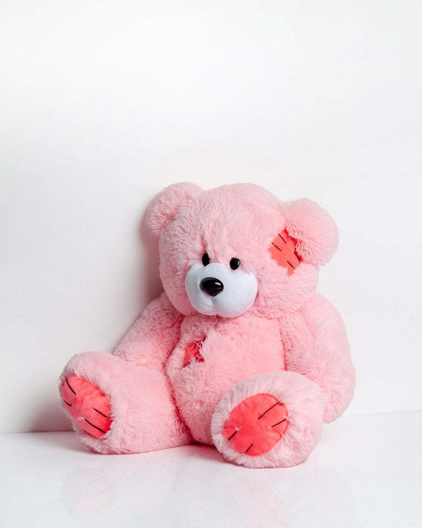 20240812172546_go_gift_loutrino_arkoudaki_pink_60_ek_pluggfmas0002 Go Gift Αρκουδάκια Pink 60 εκ. - Image 1