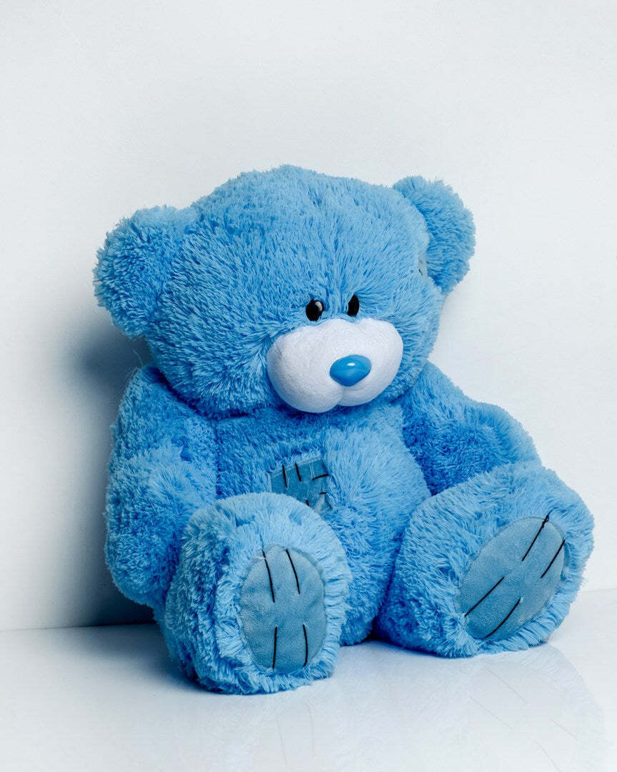 20240812172547_0b90baeb Go Gift Αρκουδάκια Blue 60 εκ. - Image 2