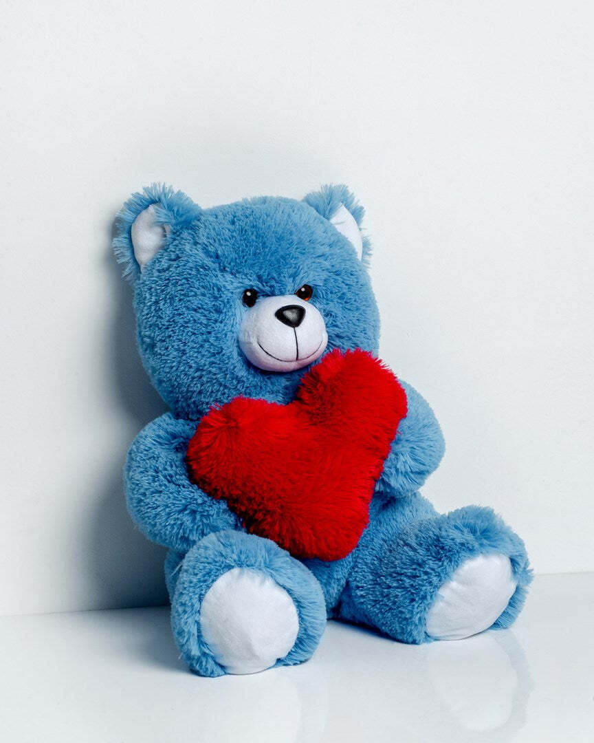 20240812172907_go_gift_loutrino_arkoudaki_blue_50_ek_pluggfmas0009 Go Gift Αρκουδάκια Blue 50 εκ. - Image 1